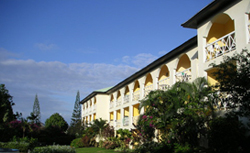 Montego Bay Private Tour